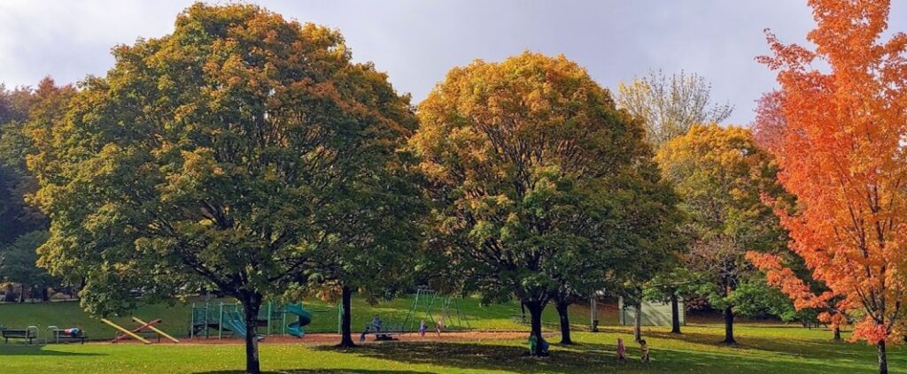 Hayhurst Pendleton Park