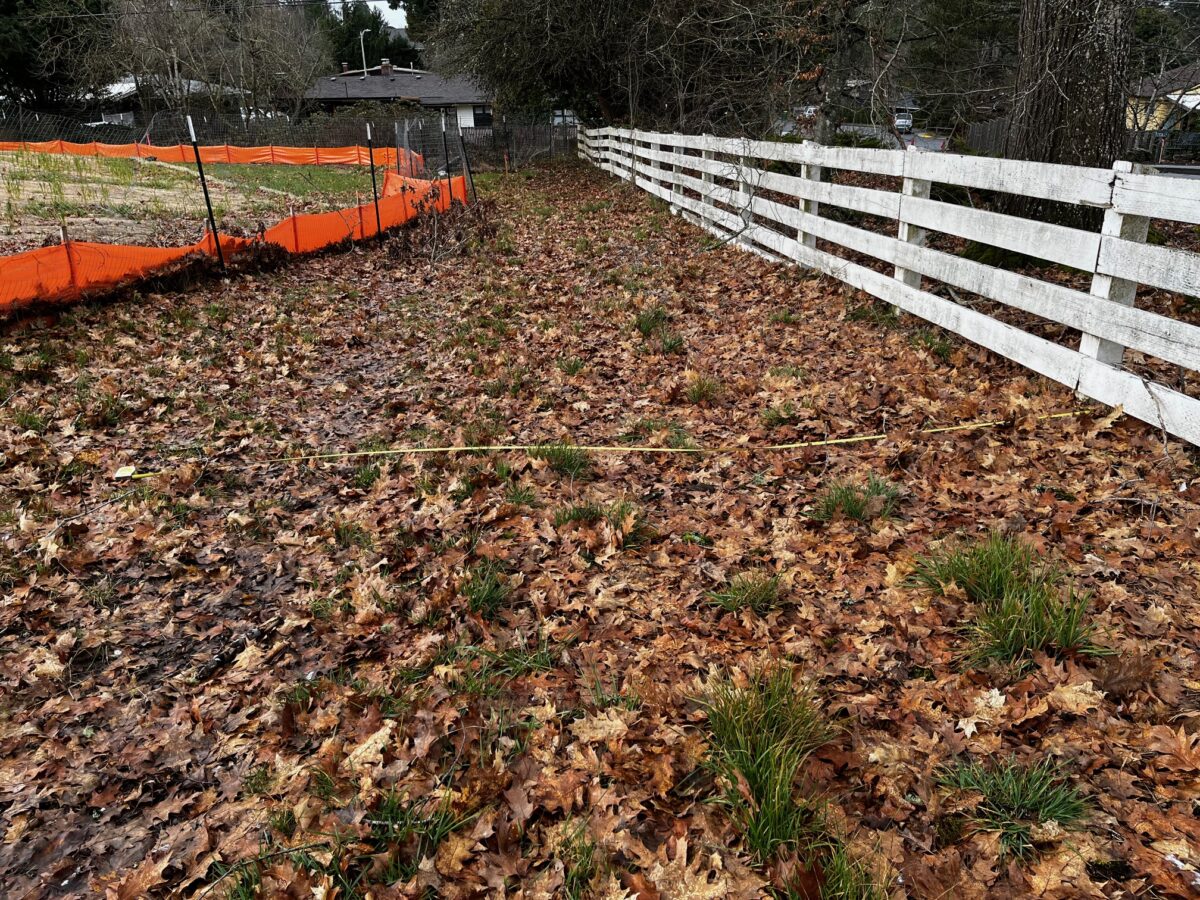 Raleigh Crest – Alpenrose Site Update February 2026