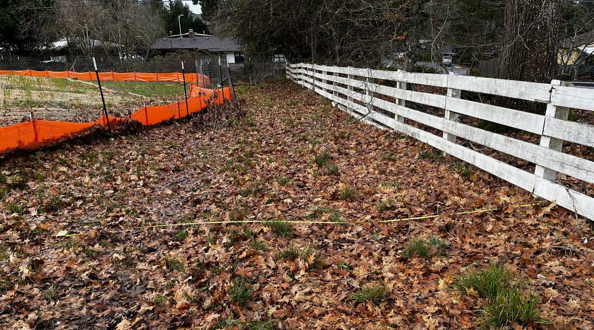 Raleigh Crest – Alpenrose Site Update February 2026