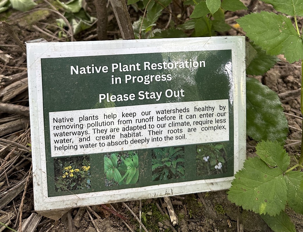 Pendleton Creek native plants