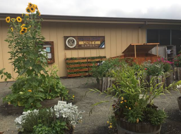 Hayhurst Unity Garden